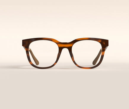 Boston Large Try Me Box