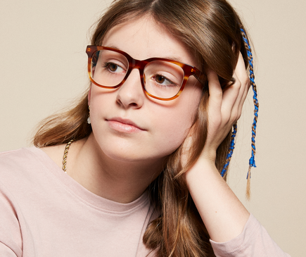 Boston Large Try Me Box