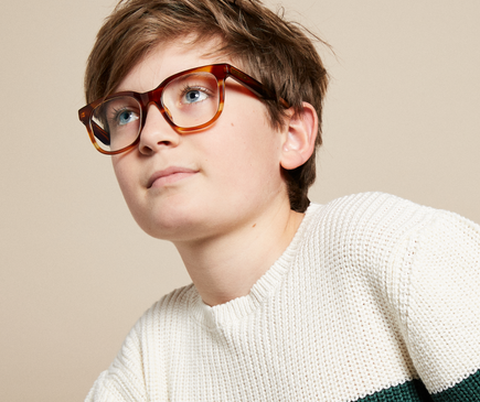 Boston Large Try Me Box